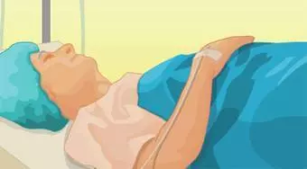 Anatomía