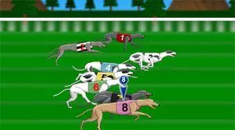 Corrida de galgos