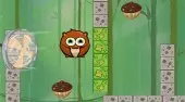Nuts