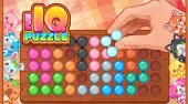 Fun IQ Puzzle