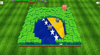 Flaggy Reveal