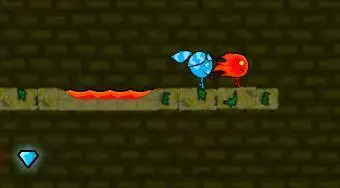 The Forest Temple 3
