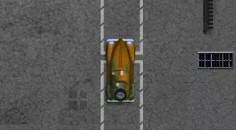 Car Dump Parking