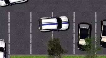 Super Valet Parking