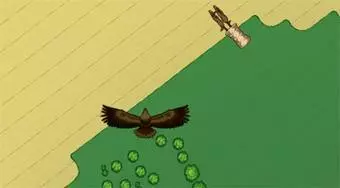 Pájaros