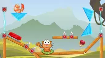 El gato trotamundos 6