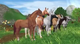 Star Stable
