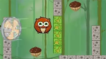 Nuts