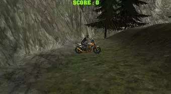 Mountain Bike Rider